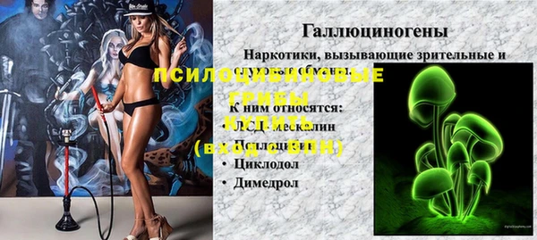 не бодяженный Алексин