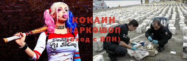 спайс Алзамай