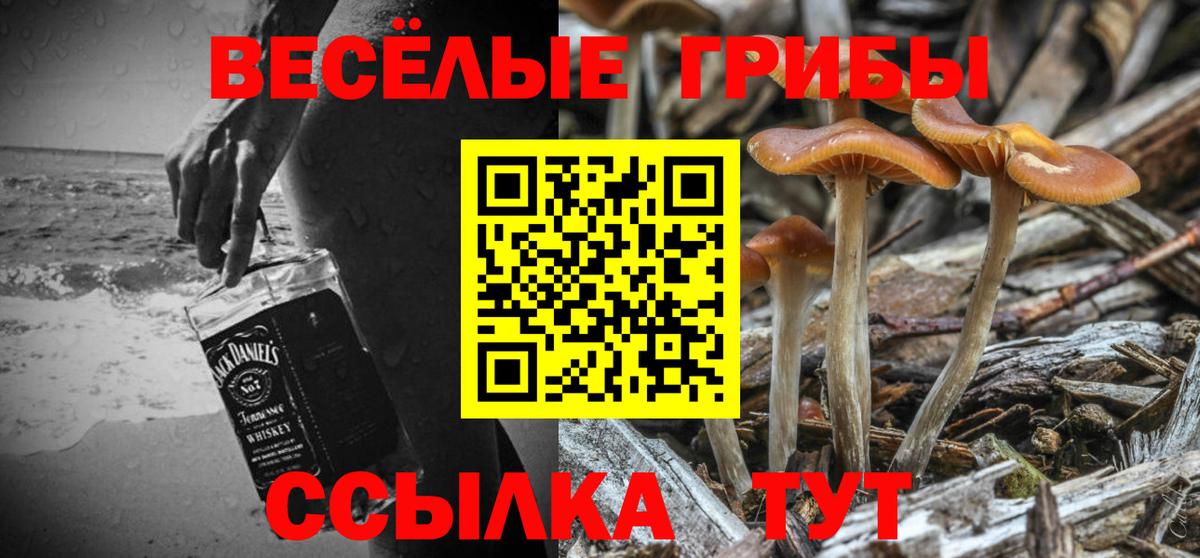 Псилоцибиновые грибы Psilocybine cubensis Белебей
