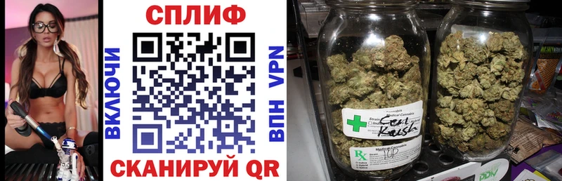 omg   Белебей  Шишки марихуана семена 